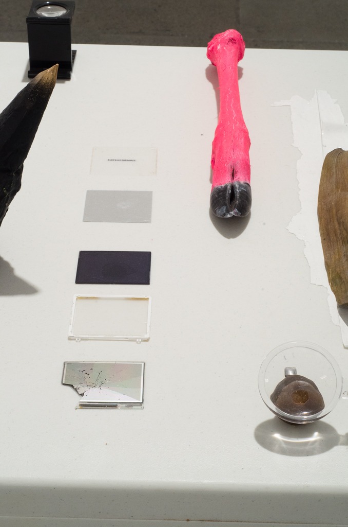 Mobil Ave 4, 2016, ephemeral installation, objects in decomposition on a table, by Daniel Perez Coronel