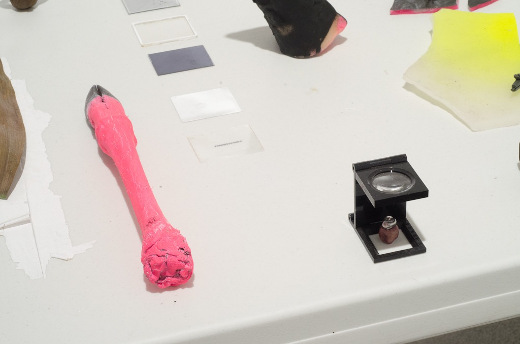 Mobil Ave 4, 2016, ephemeral installation, objects in decomposition on a table, by Daniel Perez Coronel