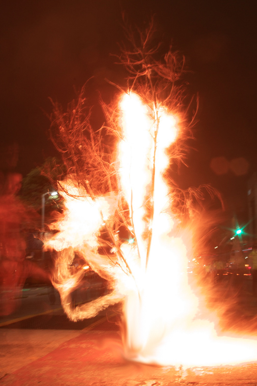 The Burning Bush, 2012, ephemeral action, documentation photograph, by Daniel Perez Coronel